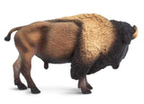 #100138 Bison