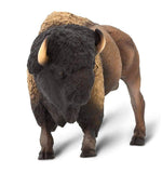 #100138 Bison
