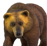 #100274 Grizzly Bear