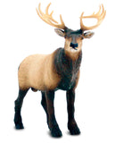 #100303 Elk