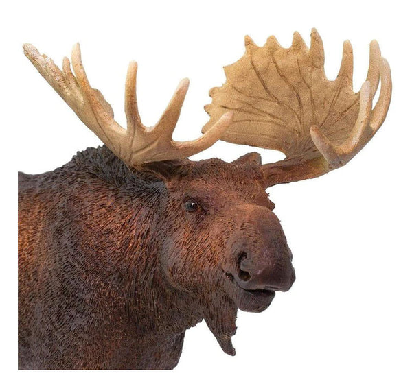 #113289 Moose | Action Toys