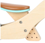 #11610 Blue Small Foot Wooden Training Balance Bike/Tricycle 2-in-1