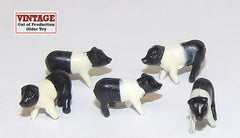 #12663A 1/64 Black & White Piglets (Hampshire), 5 pc.