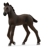 #13977S Friesian Foal