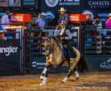 #1885 1/9 Cossaco, Lusitano Working Equitation Champion