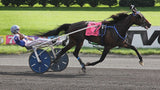 #1886 1/9 Atlanta, Standardbred Racing Champion Mare