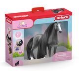 #42620 Beauty Horse Quarter Horse Mare