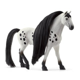 #42622 Beauty Horse Knabstrupper Stallion