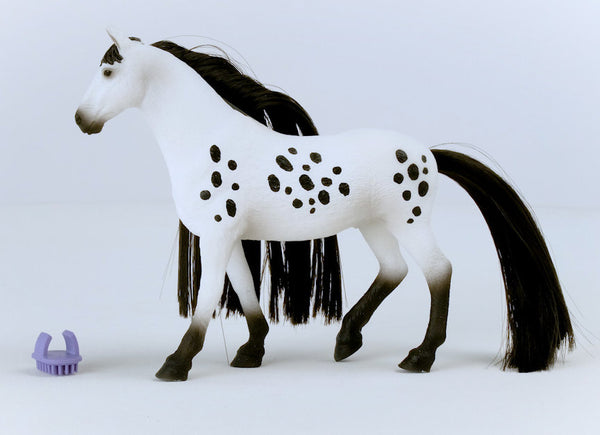 #42622 Beauty Horse Knabstrupper Stallion