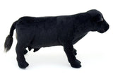 #BC602 14" Black Angus Cow Plush