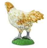 #100090 Ameraucana Chicken