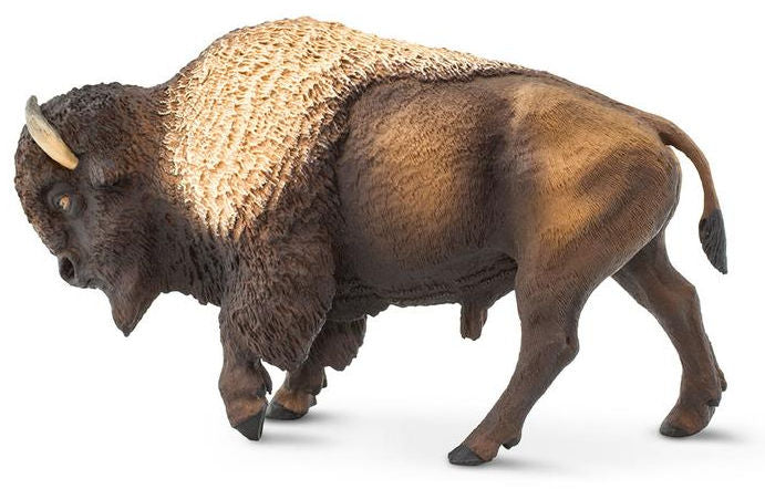 #100152 Bison