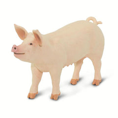 #100269 Large White Pig