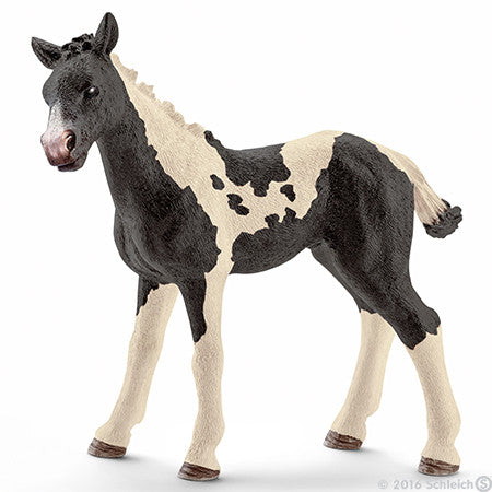 #13803 1/20 Pinto Foal