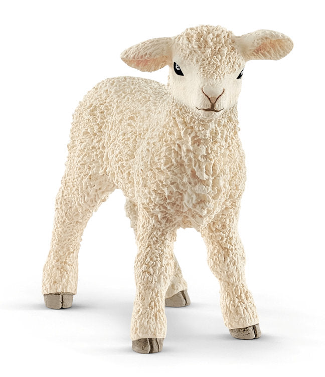 #13883S Lamb