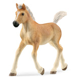 #13951S Haflinger Foal