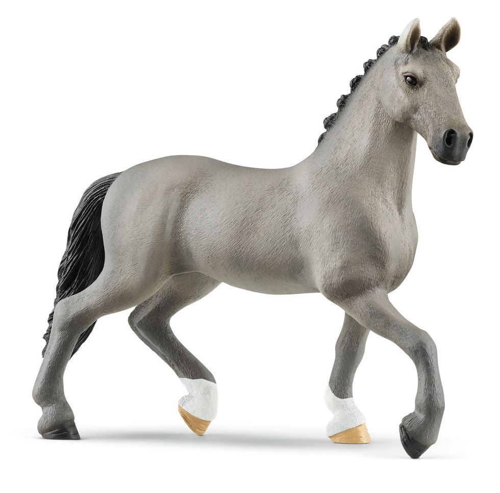 #13956S Selle Francais Stallion