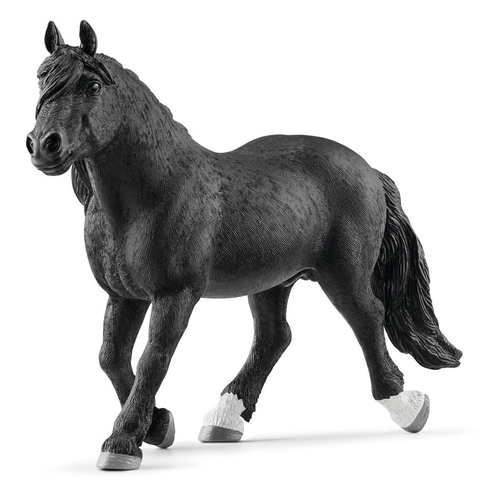 #13958S Noriker Stallion