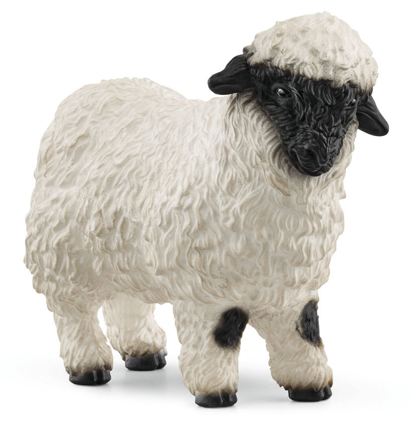 #13965S Valais Black-Nosed Sheep