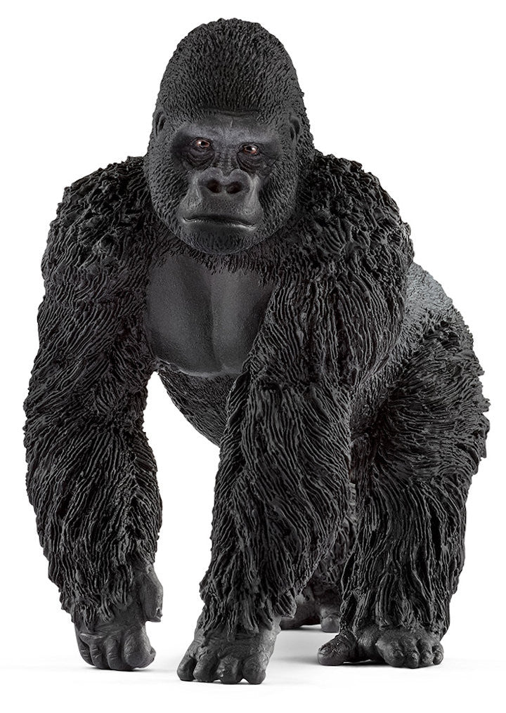 #14770 Gorilla Male