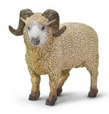 #161429 Ram Sheep