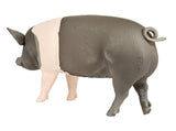 #161829 Hampshire Pig