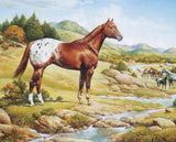 #1868 1/9 Appaloosa Horse - The Ideal Series