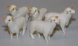 #345822 1/62 Columbia Ewes