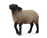 #88636 Suffolk Sheep