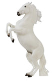 #B-TR-10667 1/9 Pluto Gravita - Lipizzan