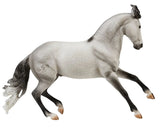 #B-TR-10668 1/9 Jaguel Hilton, Criollo Stallion