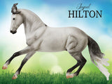 #B-TR-10668 1/9 Jaguel Hilton, Criollo Stallion