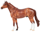#B-TR-10718 1/9 Apollitcal Jess, American Quarter Horse Sprinter