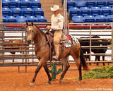 #B-TR-10807 1/9 Mr. Shining Gun, Appaloosa Buckskin Gelding