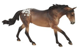 #B-TR-10807 1/9 Mr. Shining Gun, Appaloosa Buckskin Gelding