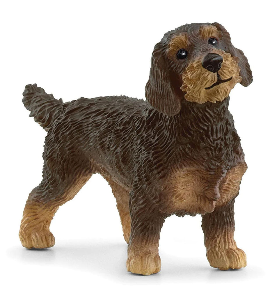 #13972S Wire-Haired Dachshund