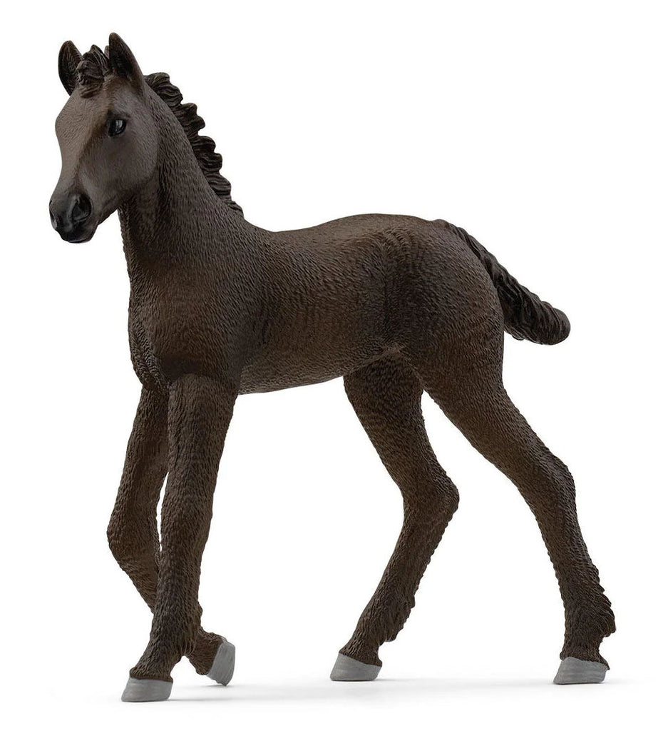 #13977S Friesian Foal