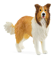 #13998S Collie