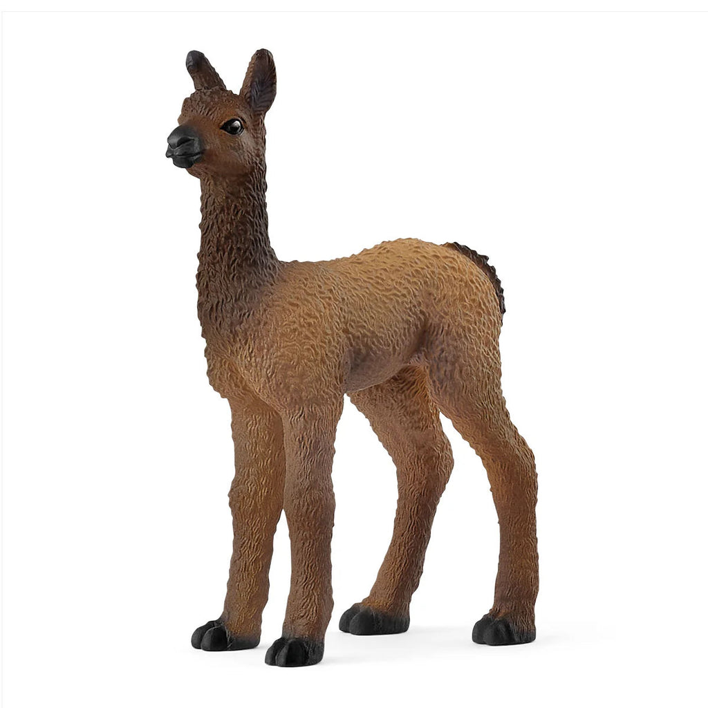 #14890S Llama Foal