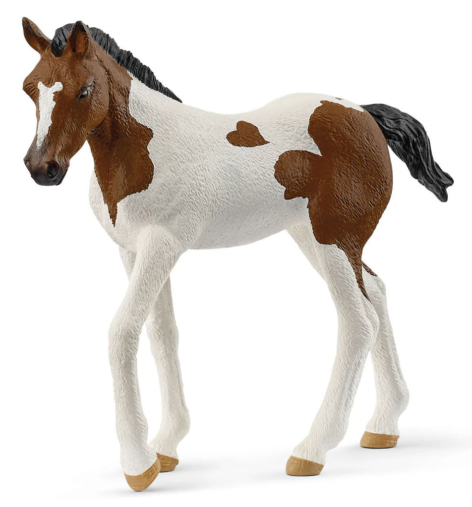 #14899S Paint Horse Foal