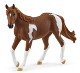 #14901S Paint Horse Mare