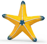 #14902S Starfish, Color Changing