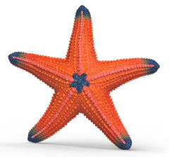 #14902S Starfish, Color Changing