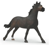 #14914S English Thoroughbred Mare