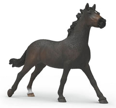 #14914S English Thoroughbred Mare