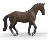 #14919S KWPN Gelding