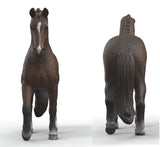 #14919S KWPN Gelding