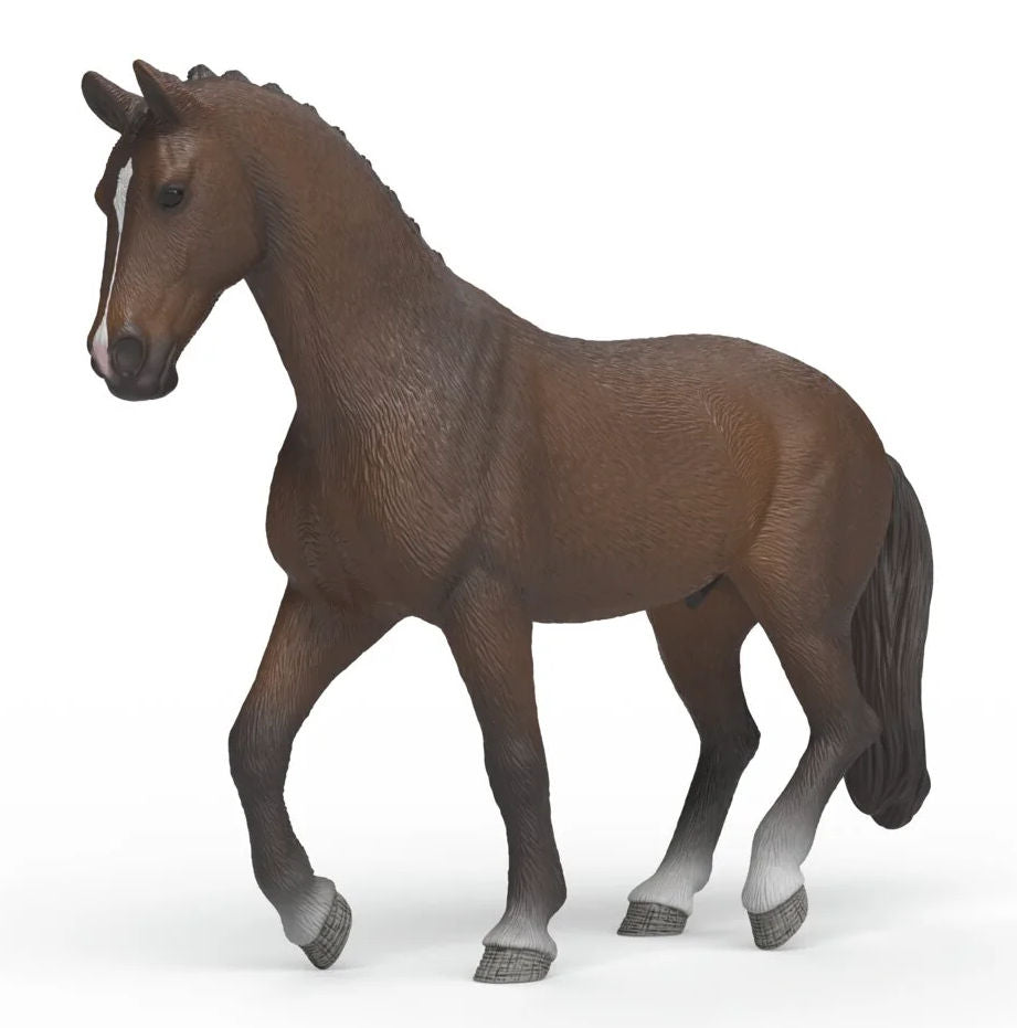 #14919S KWPN Gelding