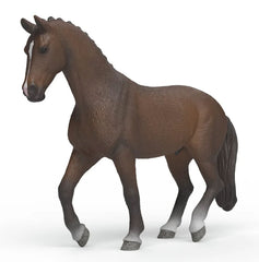 #14919S KWPN Gelding