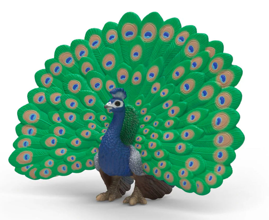 #14926S Peacock
